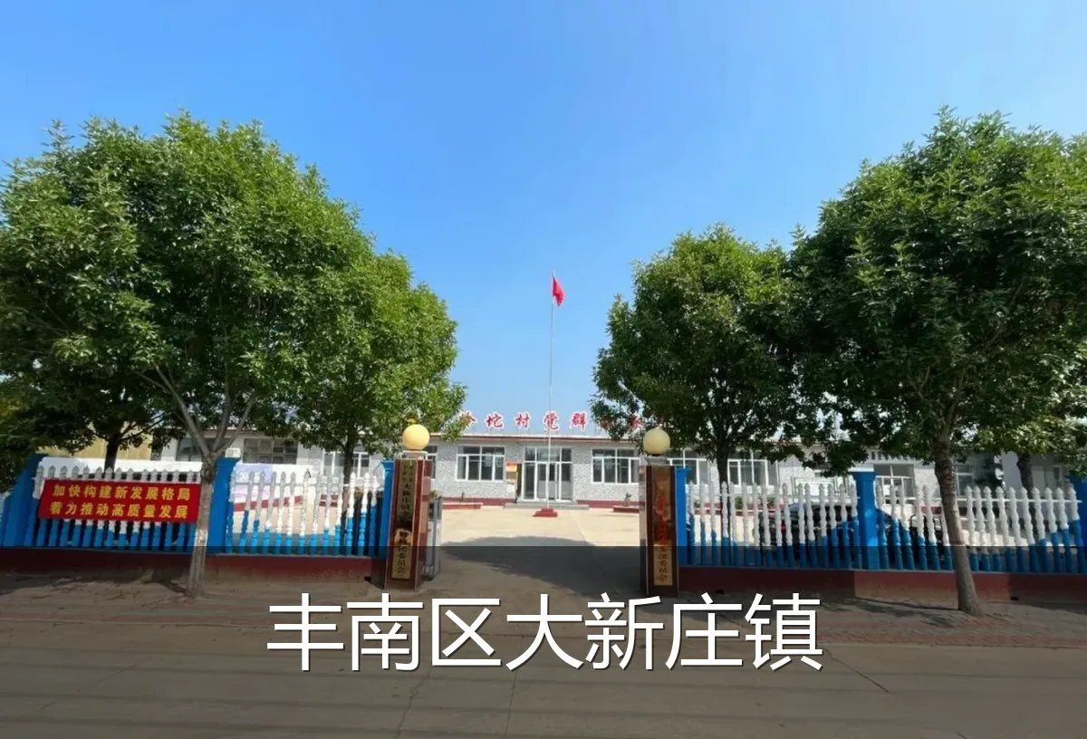 丰南区大新庄镇