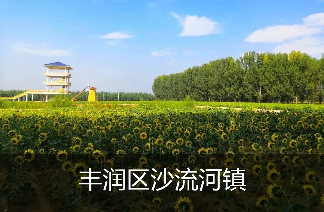 丰润区沙流河镇