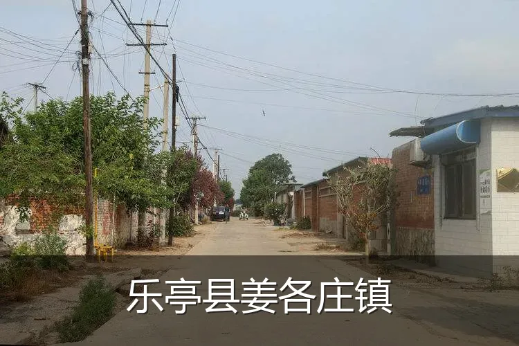 乐亭县姜各庄镇