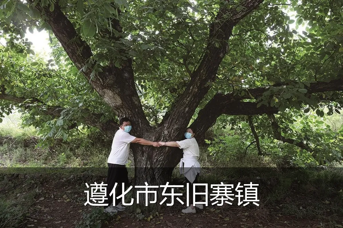 遵化市东旧寨镇