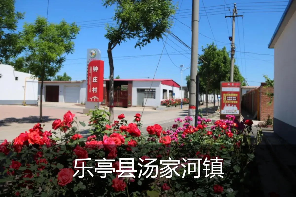 乐亭县汤家河镇
