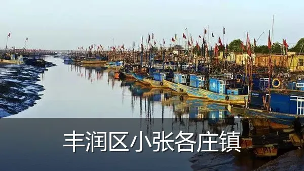 丰润区小张各庄镇