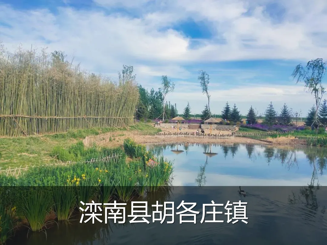 滦南县胡各庄镇