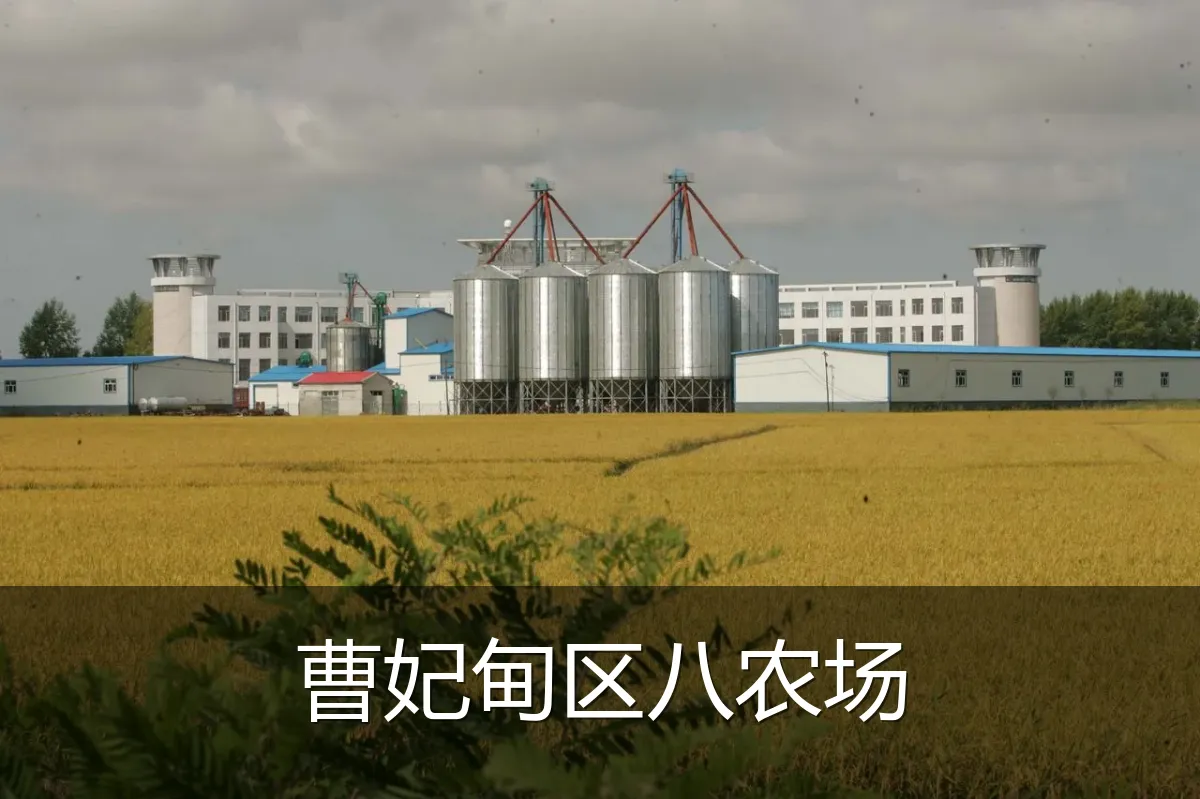 曹妃甸区八农场